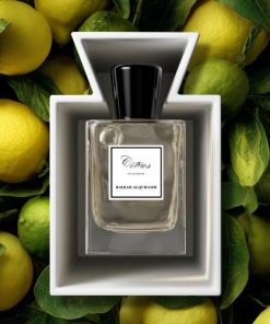 رضية القرشي - عطر الحمضيات