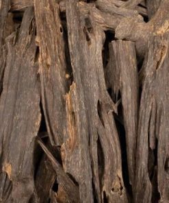 رضية القرشي - عود هندي سيوفي نوادر قديم جداً