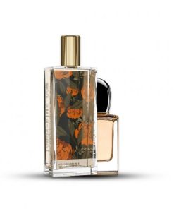 لاودي بلس - Pumpkin B No.12