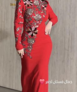 أزياء الأميرة - فستان سهره : باربـي + تطريز ع القماش