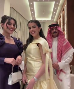 أزياء الأميرة - فستان سهرة نسائية بنفسجي ملكي فاخر – فستان مناسبات فخم بأكمام راقيه